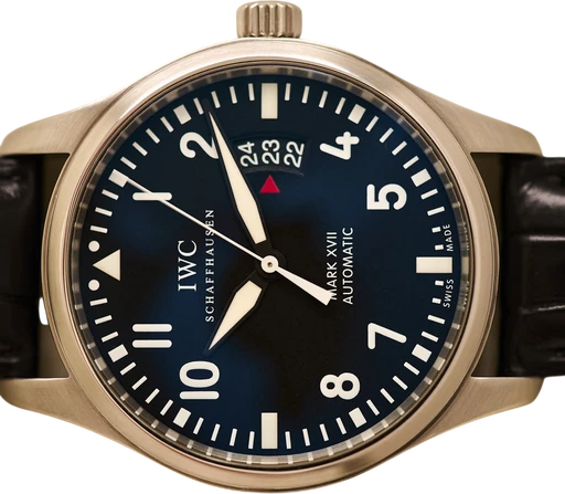 Et IWC ur